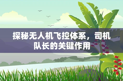 探秘无人机飞控体系，司机队长的关键作用