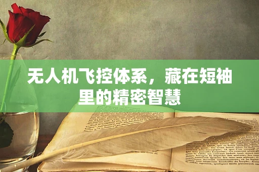 无人机飞控体系，藏在短袖里的精密智慧