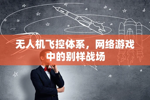 无人机飞控体系，网络游戏中的别样战场