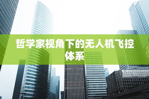 哲学家视角下的无人机飞控体系