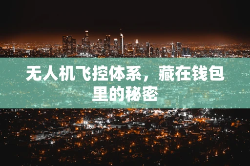 无人机飞控体系，藏在钱包里的秘密