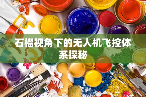 石榴视角下的无人机飞控体系探秘