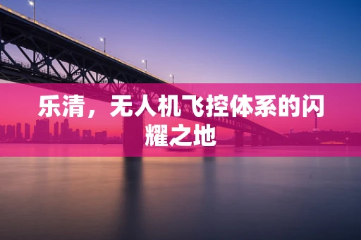 乐清，无人机飞控体系的闪耀之地