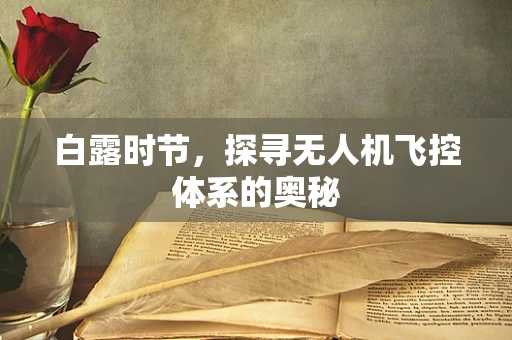 白露时节，探寻无人机飞控体系的奥秘