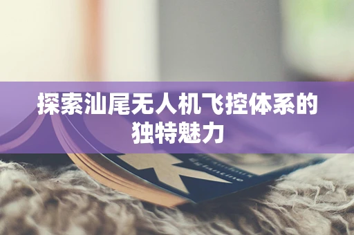 探索汕尾无人机飞控体系的独特魅力