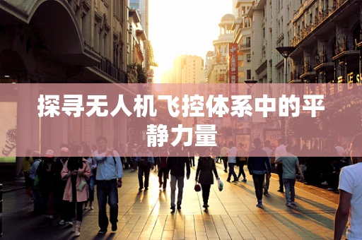 探寻无人机飞控体系中的平静力量
