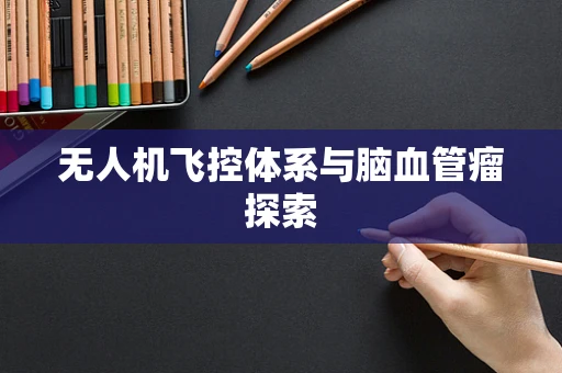 无人机飞控体系与脑血管瘤探索