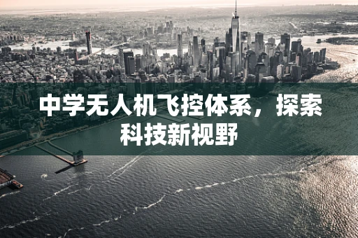 中学无人机飞控体系，探索科技新视野