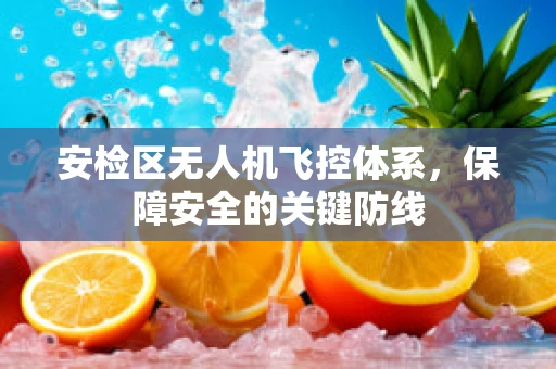 安检区无人机飞控体系，保障安全的关键防线