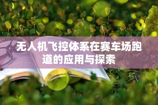 无人机飞控体系在赛车场跑道的应用与探索