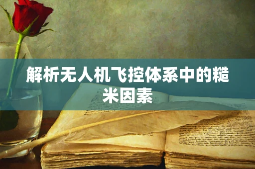 解析无人机飞控体系中的糙米因素