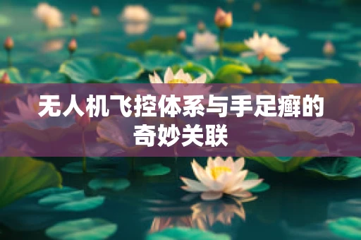 无人机飞控体系与手足癣的奇妙关联