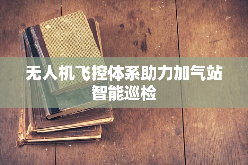 无人机飞控体系助力加气站智能巡检