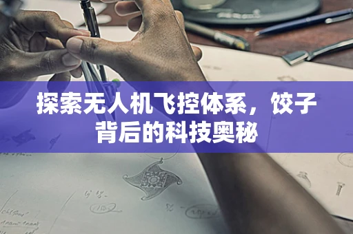 探索无人机飞控体系，饺子背后的科技奥秘
