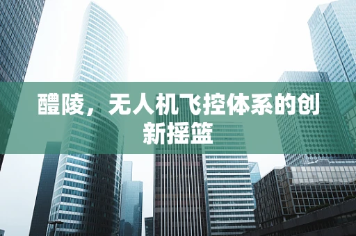 醴陵，无人机飞控体系的创新摇篮