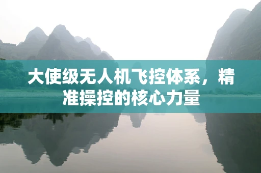 大使级无人机飞控体系，精准操控的核心力量
