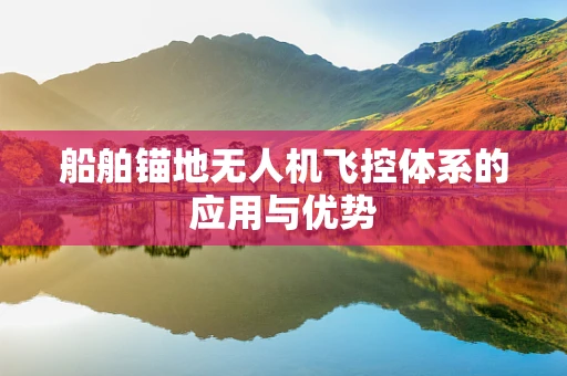船舶锚地无人机飞控体系的应用与优势