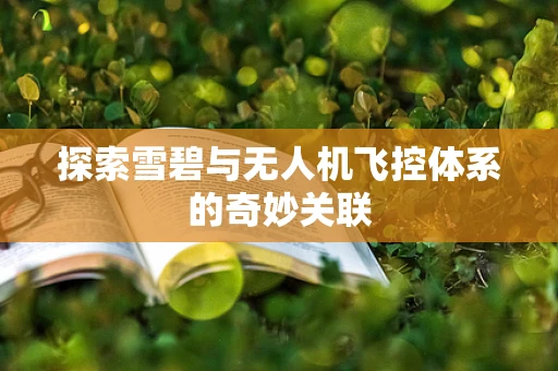 探索雪碧与无人机飞控体系的奇妙关联