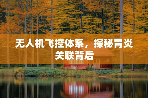 无人机飞控体系，探秘胃炎关联背后