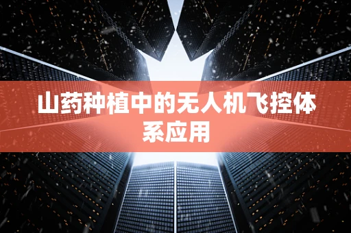 山药种植中的无人机飞控体系应用