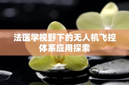 法医学视野下的无人机飞控体系应用探索