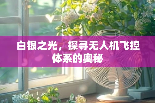 白银之光，探寻无人机飞控体系的奥秘