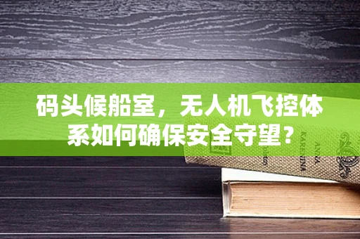 码头候船室，无人机飞控体系如何确保安全守望？