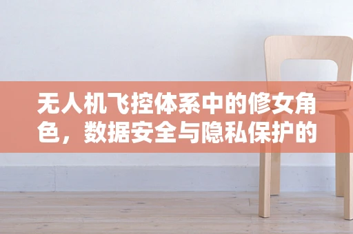 无人机飞控体系中的修女角色，数据安全与隐私保护的隐秘守护者