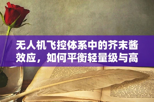 无人机飞控体系中的芥末酱效应，如何平衡轻量级与高性能的挑战？