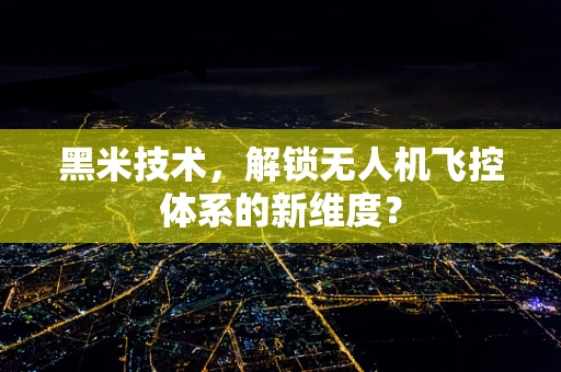 黑米技术，解锁无人机飞控体系的新维度？