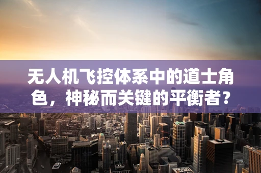 无人机飞控体系中的道士角色，神秘而关键的平衡者？