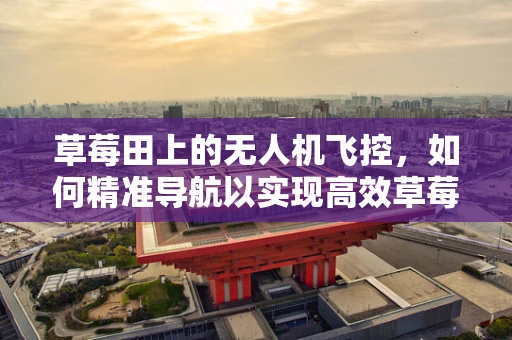 草莓田上的无人机飞控，如何精准导航以实现高效草莓种植监测？