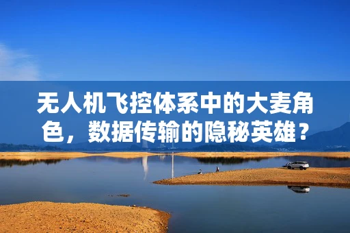 无人机飞控体系中的大麦角色，数据传输的隐秘英雄？
