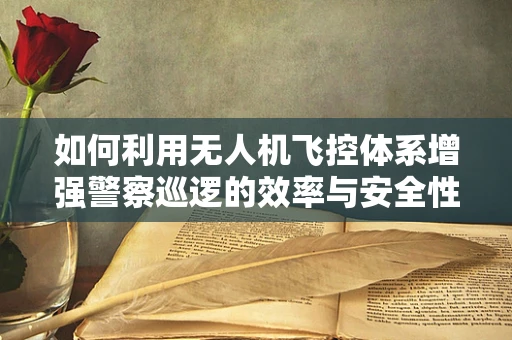 如何利用无人机飞控体系增强警察巡逻的效率与安全性？