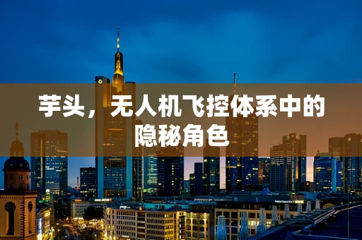 芋头，无人机飞控体系中的隐秘角色