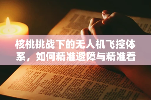 核桃挑战下的无人机飞控体系，如何精准避障与精准着陆？