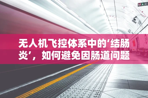 无人机飞控体系中的‘结肠炎’，如何避免因肠道问题影响飞行稳定性？