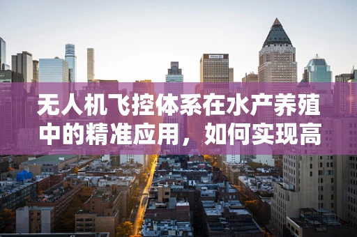 无人机飞控体系在水产养殖中的精准应用，如何实现高效监控与智能管理？