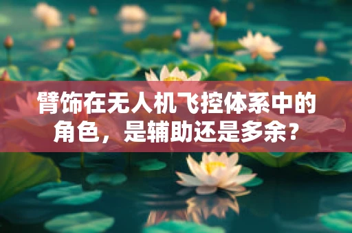 臂饰在无人机飞控体系中的角色，是辅助还是多余？