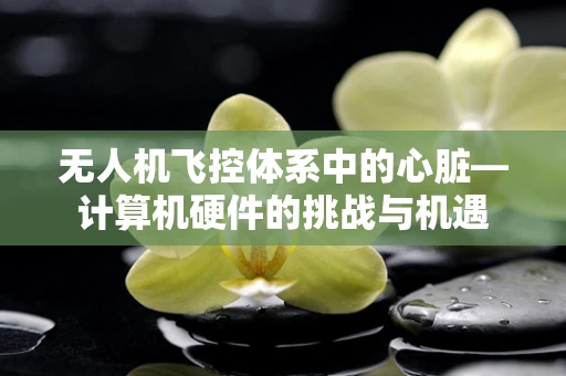 无人机飞控体系中的心脏—计算机硬件的挑战与机遇