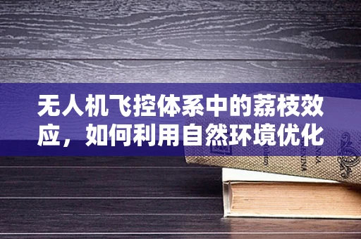 无人机飞控体系中的荔枝效应，如何利用自然环境优化飞行稳定性？