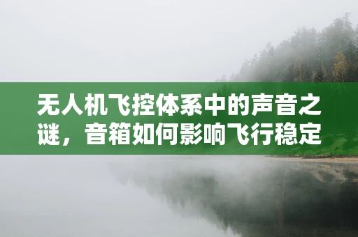 无人机飞控体系中的声音之谜，音箱如何影响飞行稳定性？