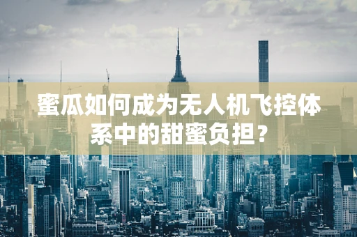 蜜瓜如何成为无人机飞控体系中的甜蜜负担？