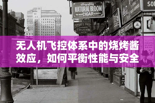 无人机飞控体系中的烧烤酱效应，如何平衡性能与安全？