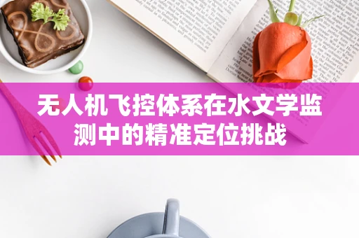 无人机飞控体系在水文学监测中的精准定位挑战