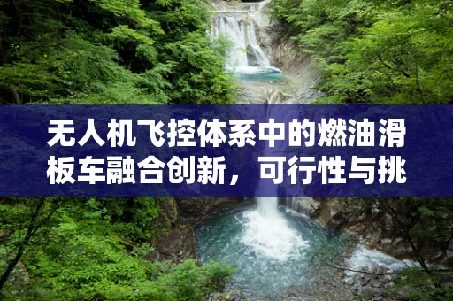 无人机飞控体系中的燃油滑板车融合创新，可行性与挑战？