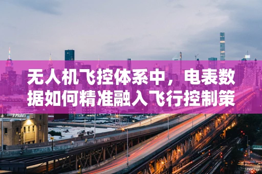 无人机飞控体系中，电表数据如何精准融入飞行控制策略？
