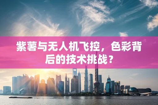 紫薯与无人机飞控，色彩背后的技术挑战？