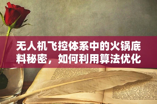 无人机飞控体系中的火锅底料秘密，如何利用算法优化飞行性能？
