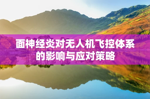 面神经炎对无人机飞控体系的影响与应对策略